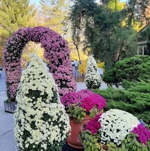 Meet your Posher, Olfa